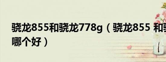 骁龙855和骁龙778g（骁龙855 和骁龙778哪个好）