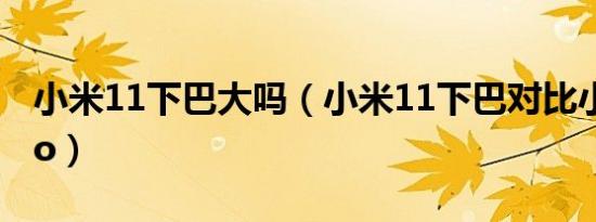 小米11下巴大吗（小米11下巴对比小米11pro）