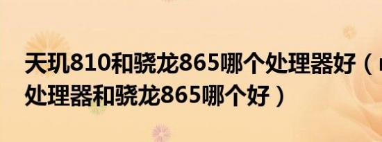 天玑810和骁龙865哪个处理器好（mtkx30处理器和骁龙865哪个好）