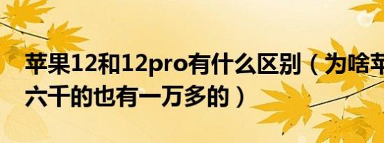 苹果12和12pro有什么区别（为啥苹果13有六千的也有一万多的）