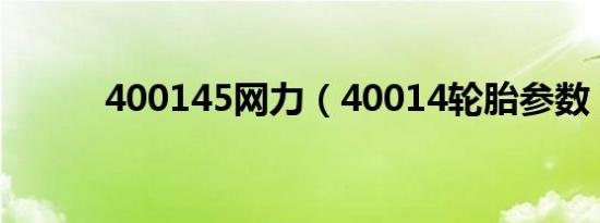 400145网力（40014轮胎参数）