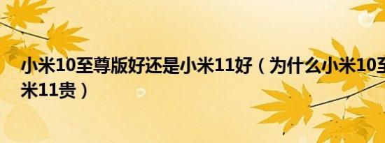 小米10至尊版好还是小米11好（为什么小米10至尊版比小米11贵）