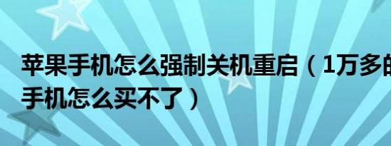 苹果手机怎么强制关机重启（1万多的苹果13手机怎么买不了）