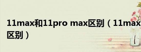 11max和11pro max区别（11max和11pro区别）