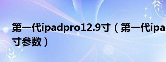 第一代ipadpro12.9寸（第一代ipadpro12寸参数）