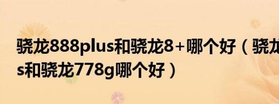 骁龙888plus和骁龙8+哪个好（骁龙888plus和骁龙778g哪个好）