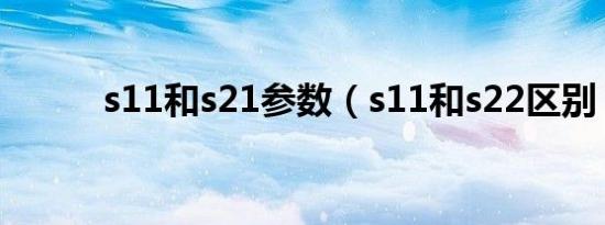 s11和s21参数（s11和s22区别）