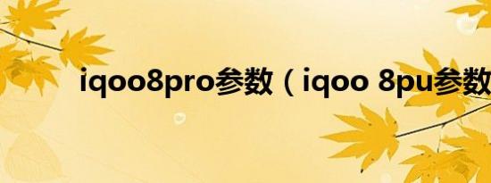 iqoo8pro参数（iqoo 8pu参数）