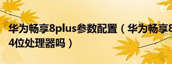 华为畅享8plus参数配置（华为畅享8plus是64位处理器吗）