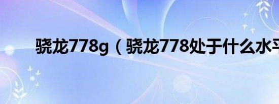 骁龙778g（骁龙778处于什么水平）