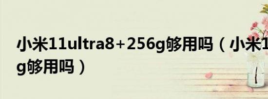 小米11ultra8+256g够用吗（小米11ultra8g够用吗）