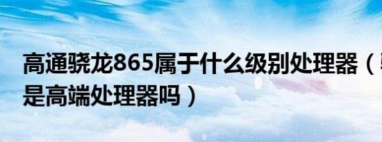 高通骁龙865属于什么级别处理器（骁龙865是高端处理器吗）