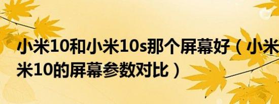 小米10和小米10s那个屏幕好（小米10s和小米10的屏幕参数对比）