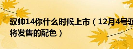 驭帅14你什么时候上市（12月4号驭帅14即将发售的配色）