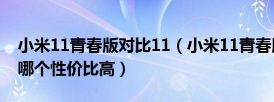 小米11青春版对比11（小米11青春版和12x哪个性价比高）