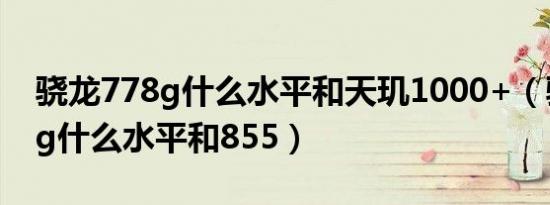 骁龙778g什么水平和天玑1000+（骁龙778g什么水平和855）