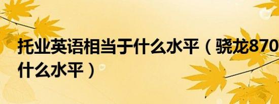 托业英语相当于什么水平（骁龙870g相当于什么水平）