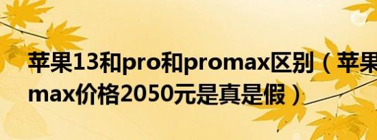 苹果13和pro和promax区别（苹果13pro max价格2050元是真是假）