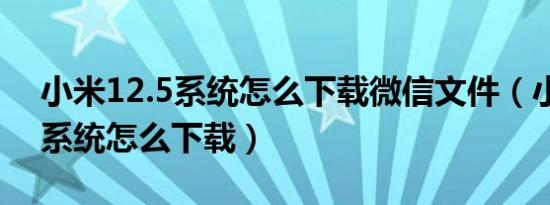 小米12.5系统怎么下载微信文件（小米12.5系统怎么下载）