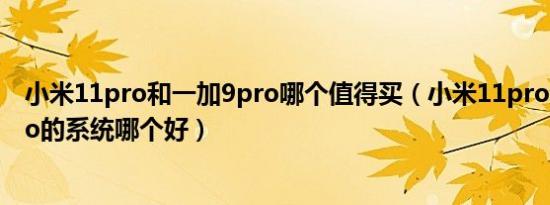 小米11pro和一加9pro哪个值得买（小米11pro和一加9pro的系统哪个好）