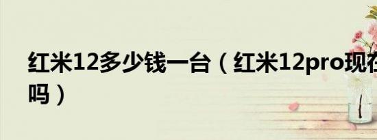 红米12多少钱一台（红米12pro现在能买到吗）