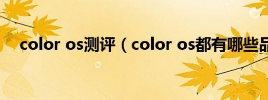 color os测评（color os都有哪些品牌）