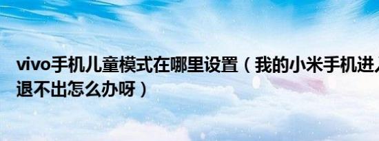 vivo手机儿童模式在哪里设置（我的小米手机进入儿童模式退不出怎么办呀）