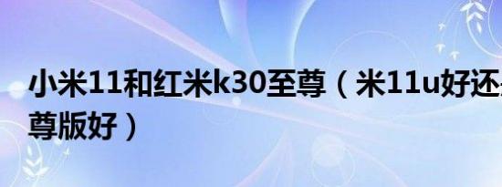 小米11和红米k30至尊（米11u好还是k30至尊版好）