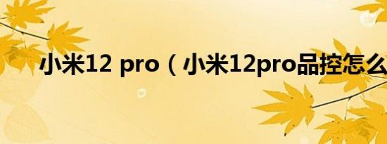 小米12 pro（小米12pro品控怎么样）