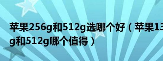 苹果256g和512g选哪个好（苹果13pro256g和512g哪个值得）