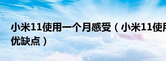 小米11使用一个月感受（小米11使用一周后优缺点）