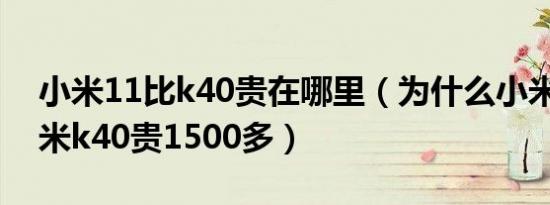 小米11比k40贵在哪里（为什么小米11比红米k40贵1500多）