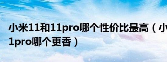 小米11和11pro哪个性价比最高（小米11和11pro哪个更香）