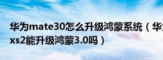 华为mate30怎么升级鸿蒙系统（华为mate xs2能升级鸿蒙3.0吗）