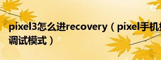 pixel3怎么进recovery（pixel手机如何进入调试模式）