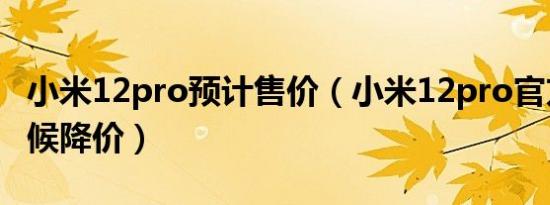 小米12pro预计售价（小米12pro官方什么时候降价）