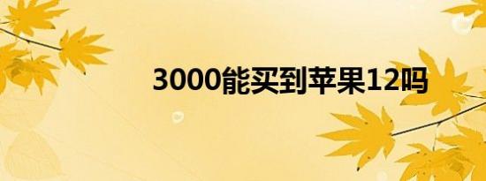 3000能买到苹果12吗