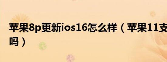 苹果8p更新ios16怎么样（苹果11支持ios16吗）