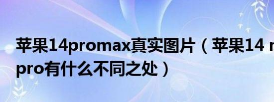 苹果14promax真实图片（苹果14 max苹果pro有什么不同之处）