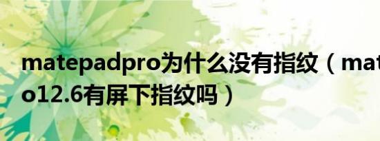 matepadpro为什么没有指纹（matepadpro12.6有屏下指纹吗）