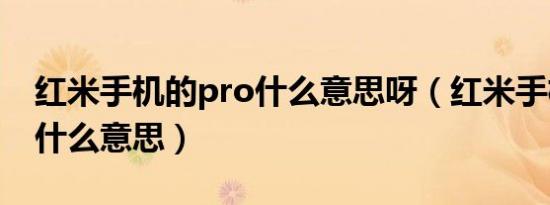 红米手机的pro什么意思呀（红米手机的pro什么意思）