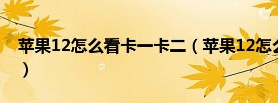 苹果12怎么看卡一卡二（苹果12怎么看参数）