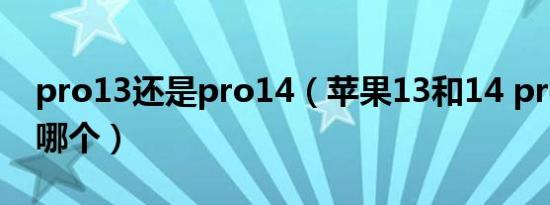 pro13还是pro14（苹果13和14 pro建议买哪个）