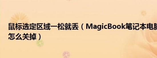 鼠标选定区域一松就丢（MagicBook笔记本电脑鼠标区域怎么关掉）