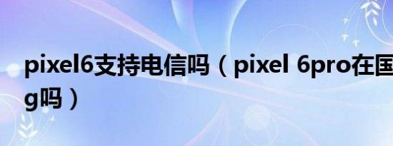 pixel6支持电信吗（pixel 6pro在国内支持5g吗）