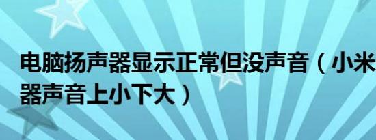 电脑扬声器显示正常但没声音（小米11u扬声器声音上小下大）