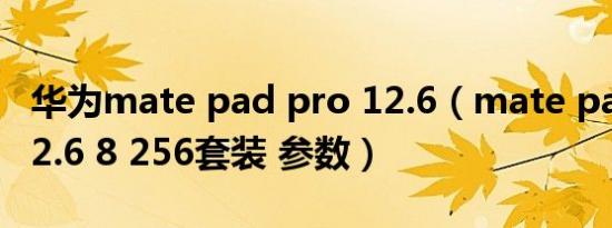 华为mate pad pro 12.6（mate pad pro 12.6 8 256套装 参数）