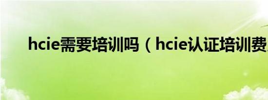 hcie需要培训吗（hcie认证培训费用）