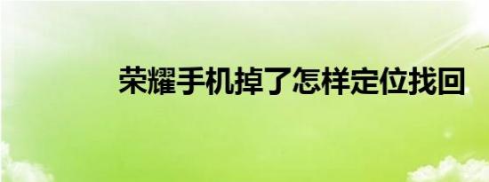 荣耀手机掉了怎样定位找回