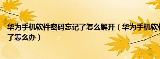 华为手机软件密码忘记了怎么解开（华为手机软件密码忘记了怎么办）